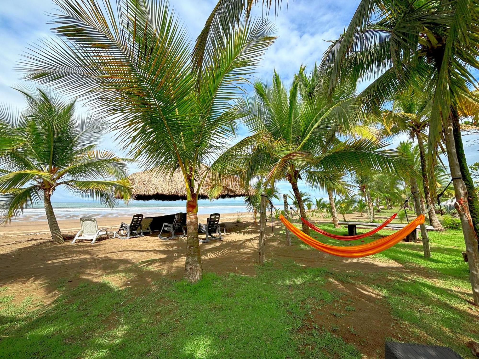 Royal Palm Retreat Apartment Cabrera Exterior photo